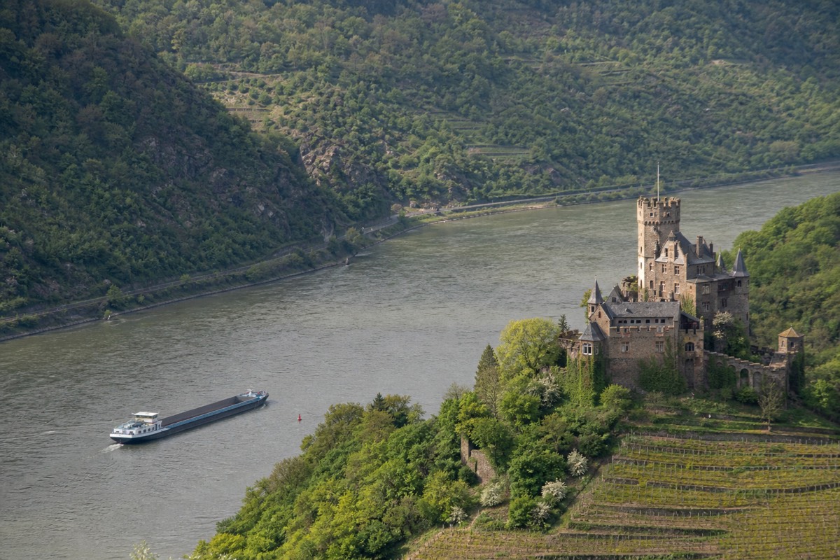 Castles and vineyards above the Rhine in Germany